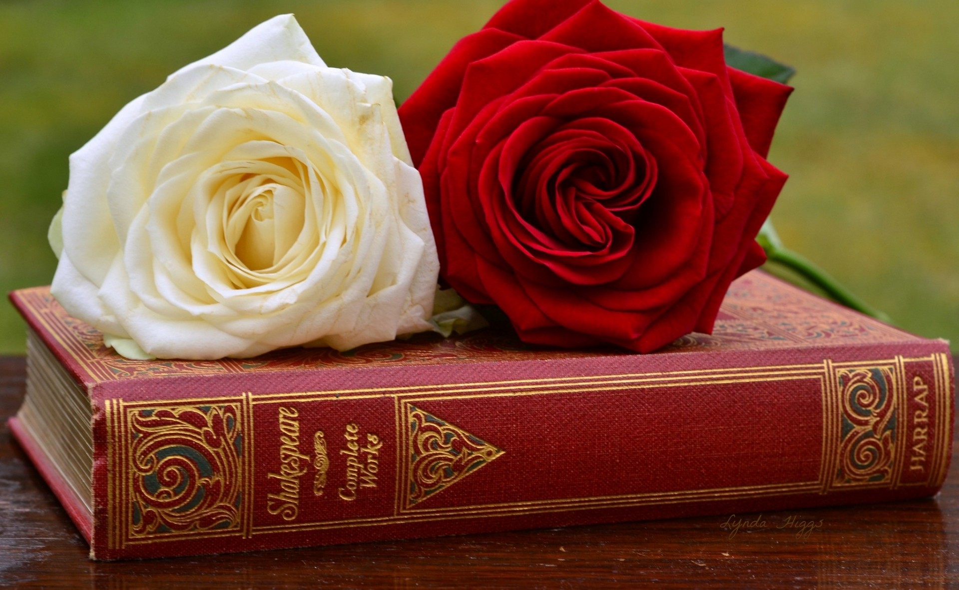 book buds rose