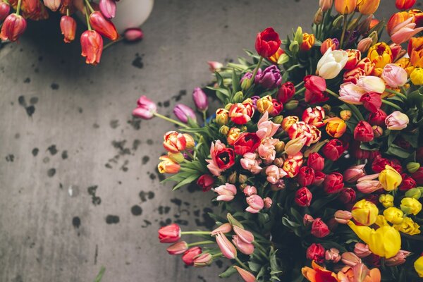 Verschiedene Tulpen im Frühlingsstrauß