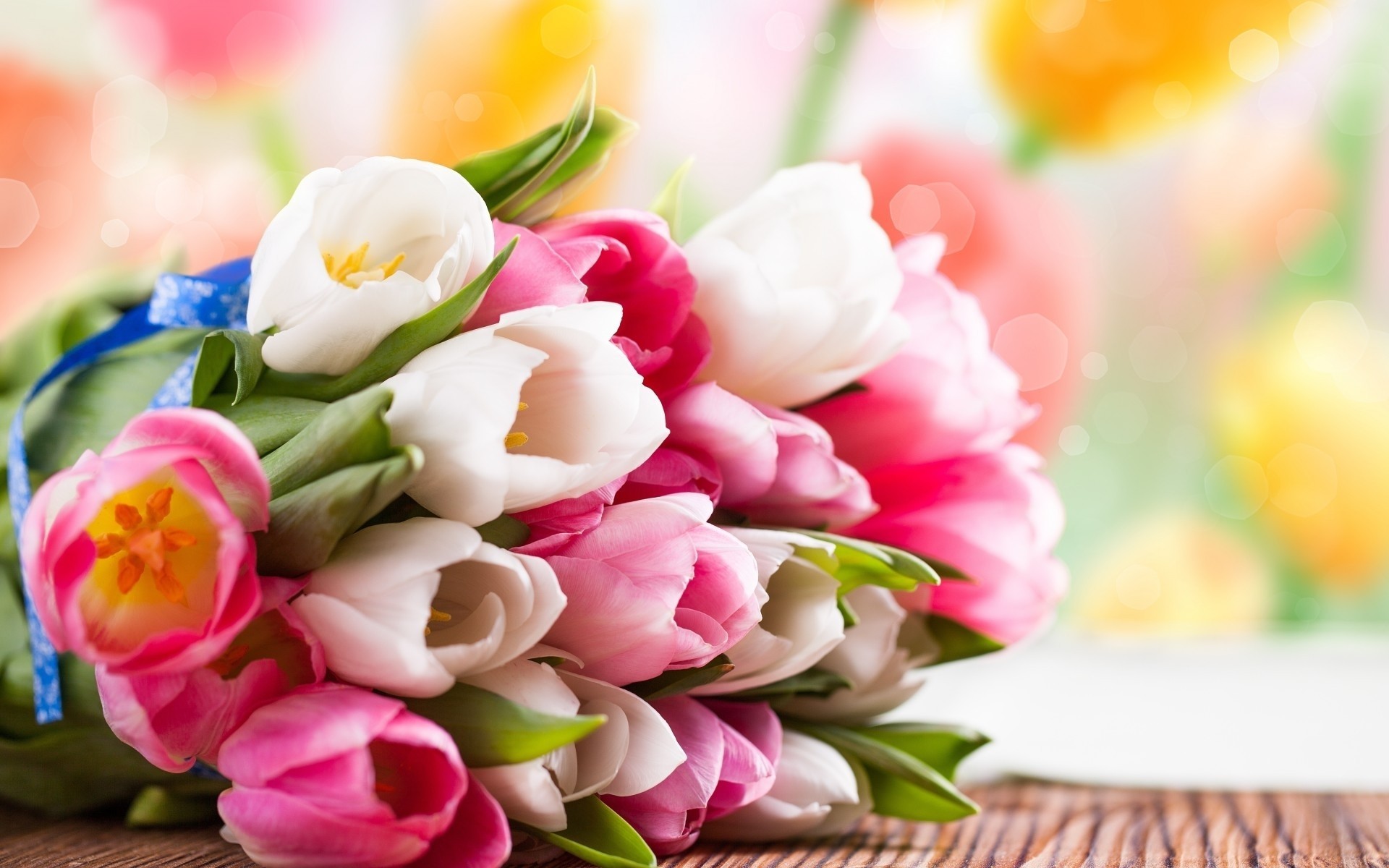 nature bouquet light tulips close up spring