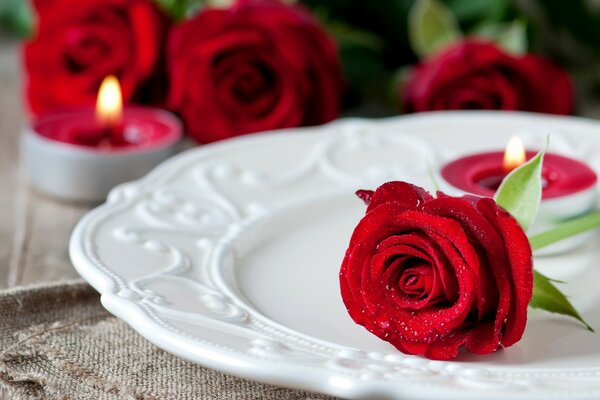 Czerwona róża na białym talerzu. W tle płonąca świeca