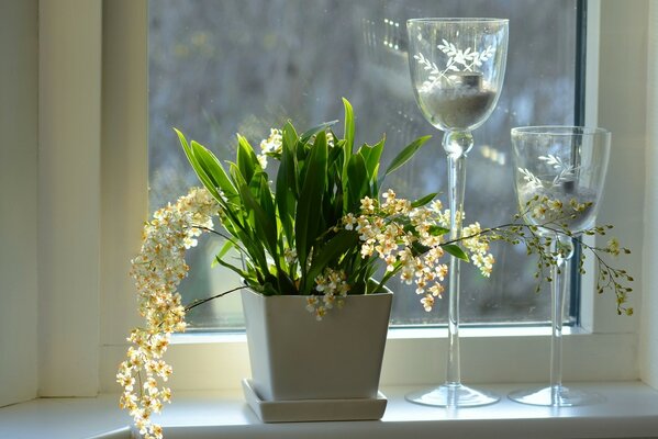 Kerzenständer am Fenster neben einem Orchideentopf