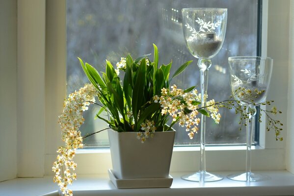 Candlesticks on the window next to a pot of orchids