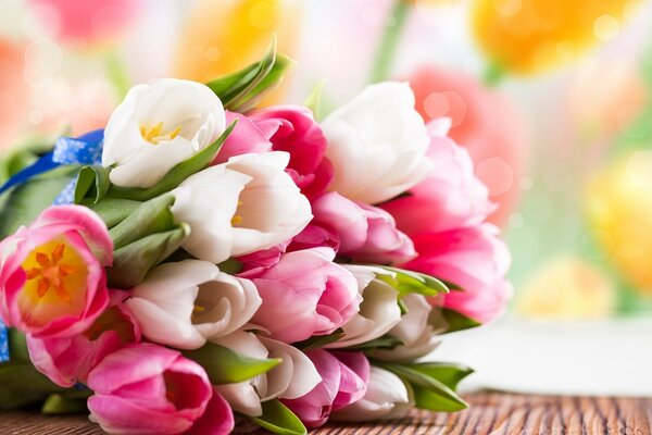 Delicate spring tulips in a macro lens