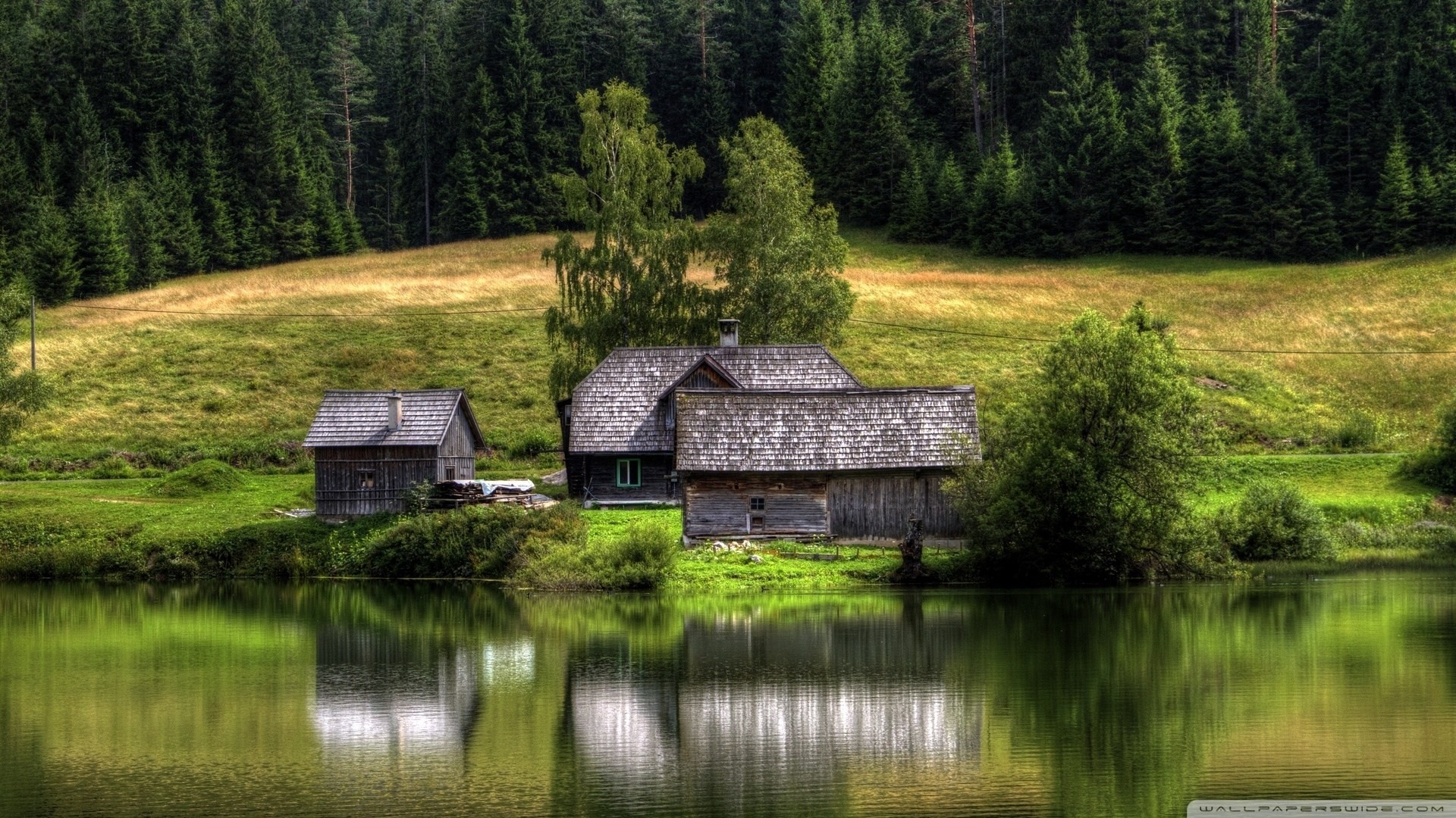 hdr see reflexion palmen wald haus nadelwald