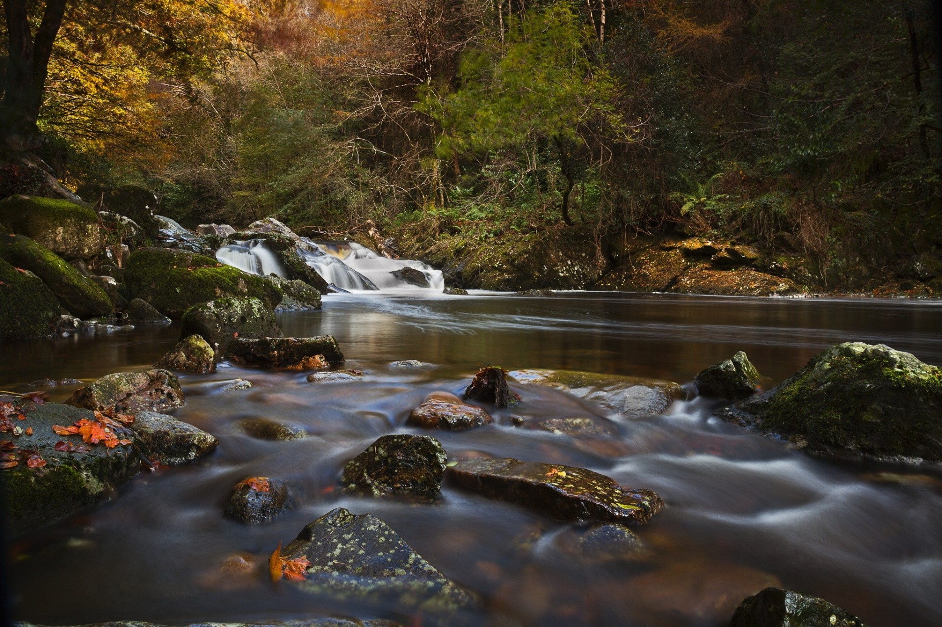 rocas devon río inglaterra bosque otoño