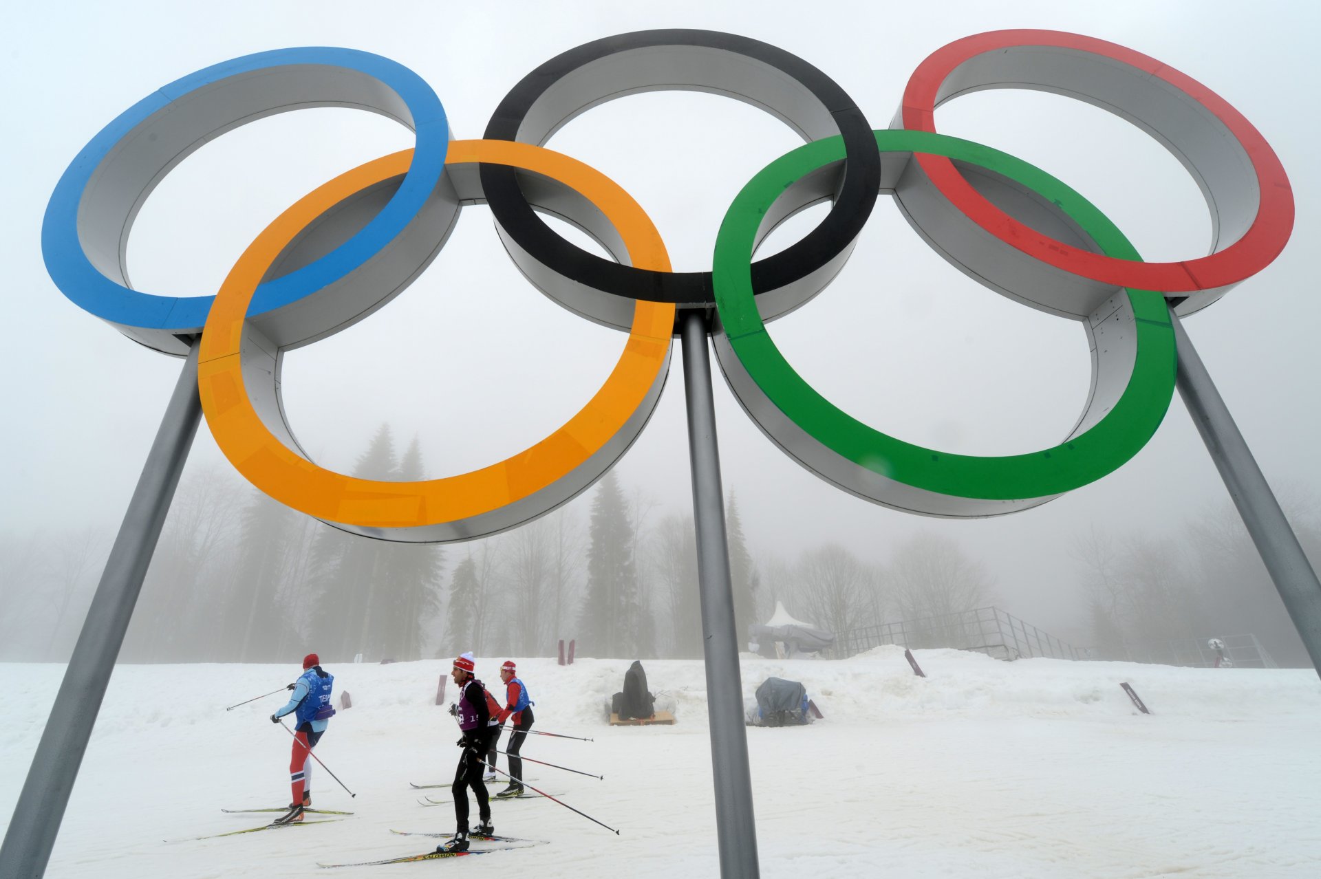 olympische ringe himmel unten skifahrer laura komlex sotschi 2014 russland winter wald nebel schnee