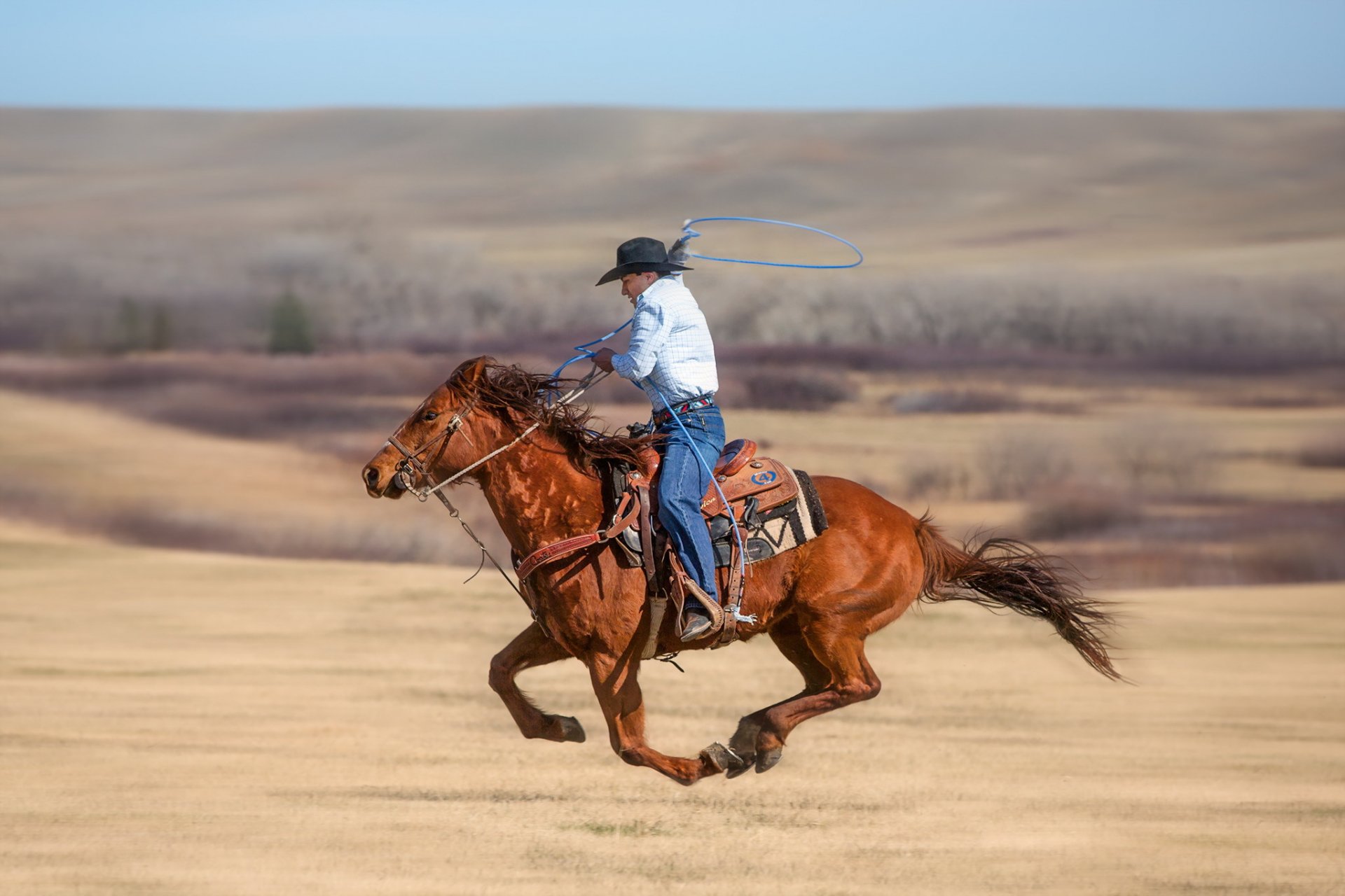 cables vaquero