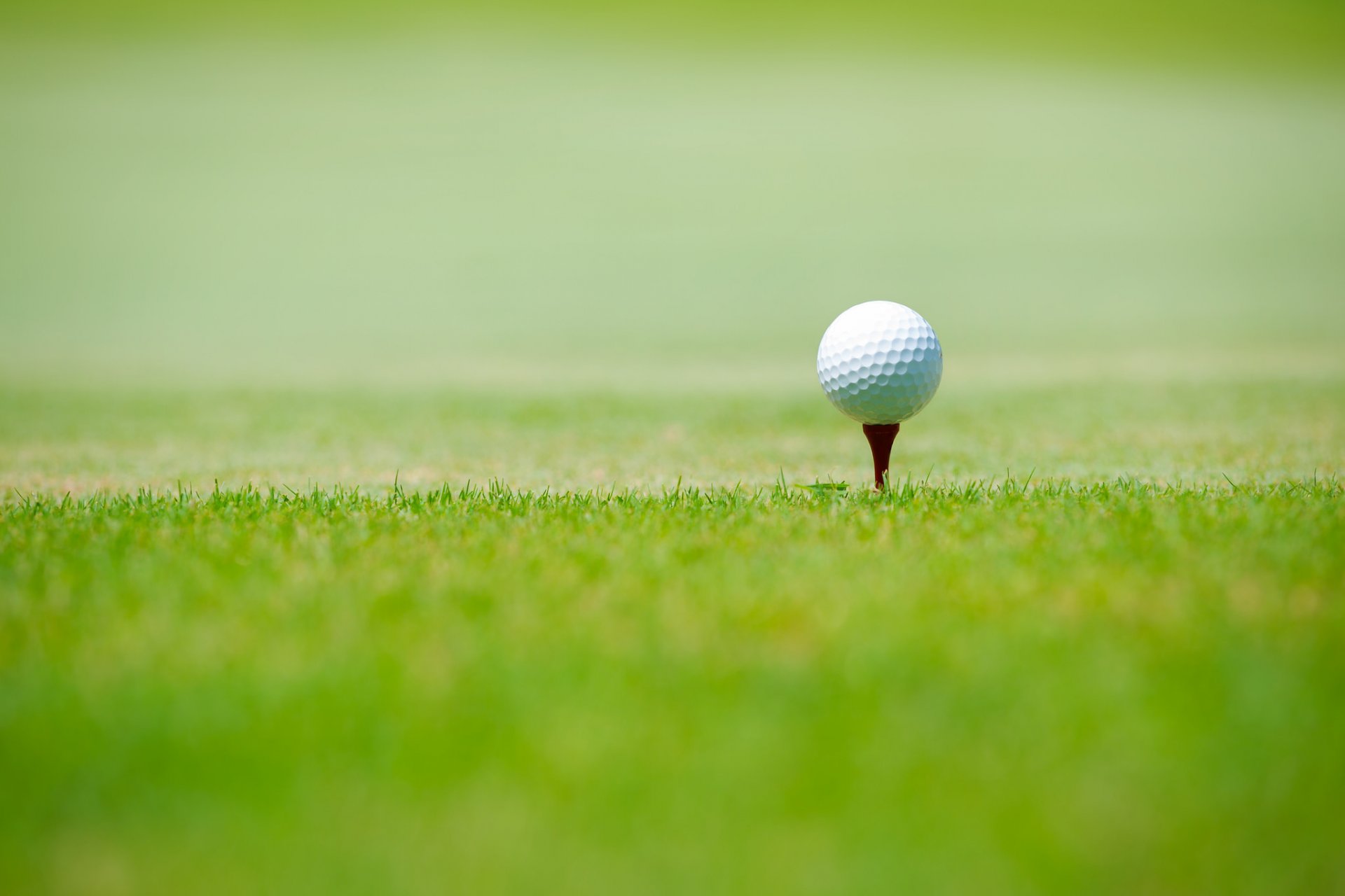 balle de golf herbe verte sport