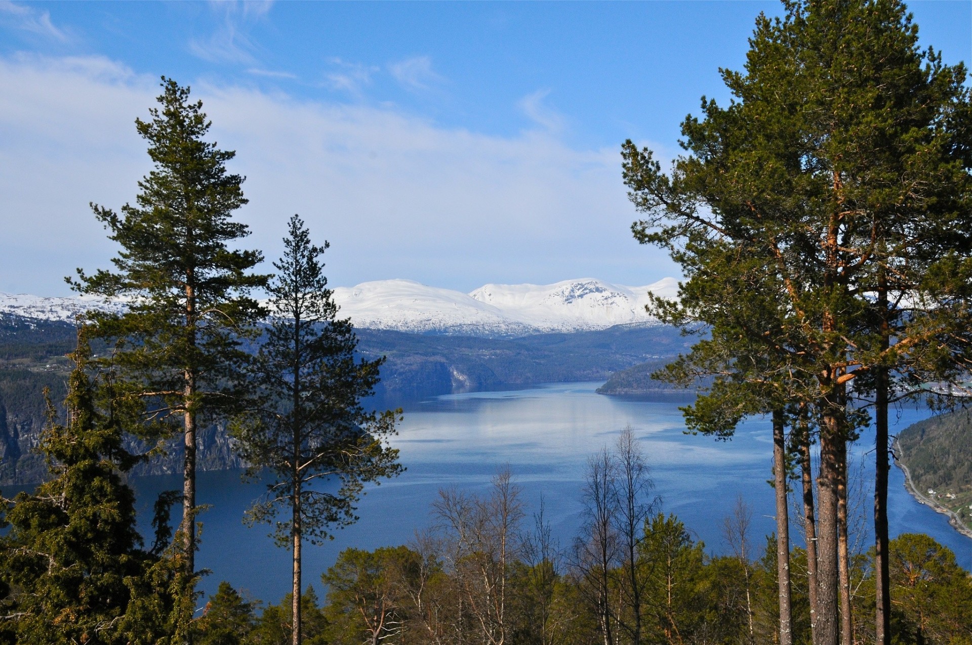 noruega montañas fiordo árboles