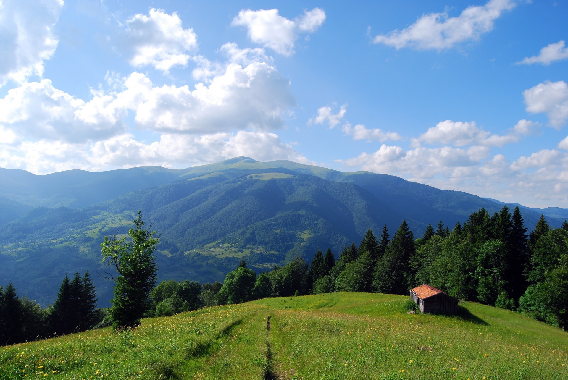 landschaft haus feld berge karpaten