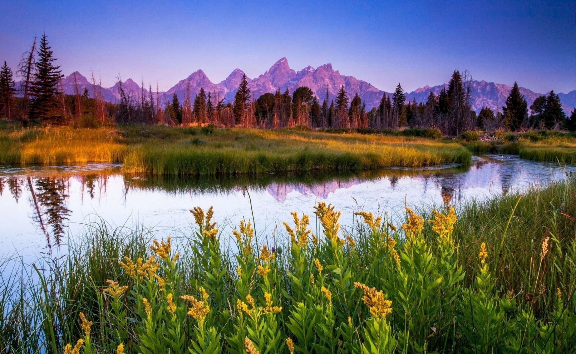 río naturaleza hierba bosque flores montañas