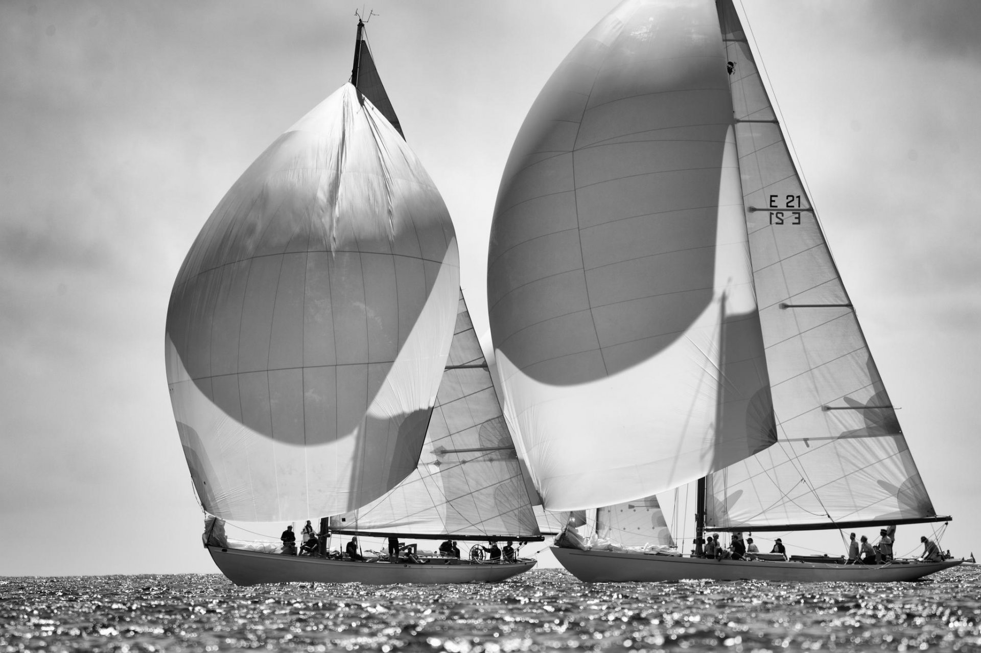 photo noir et blanc yachts mer régate voiles