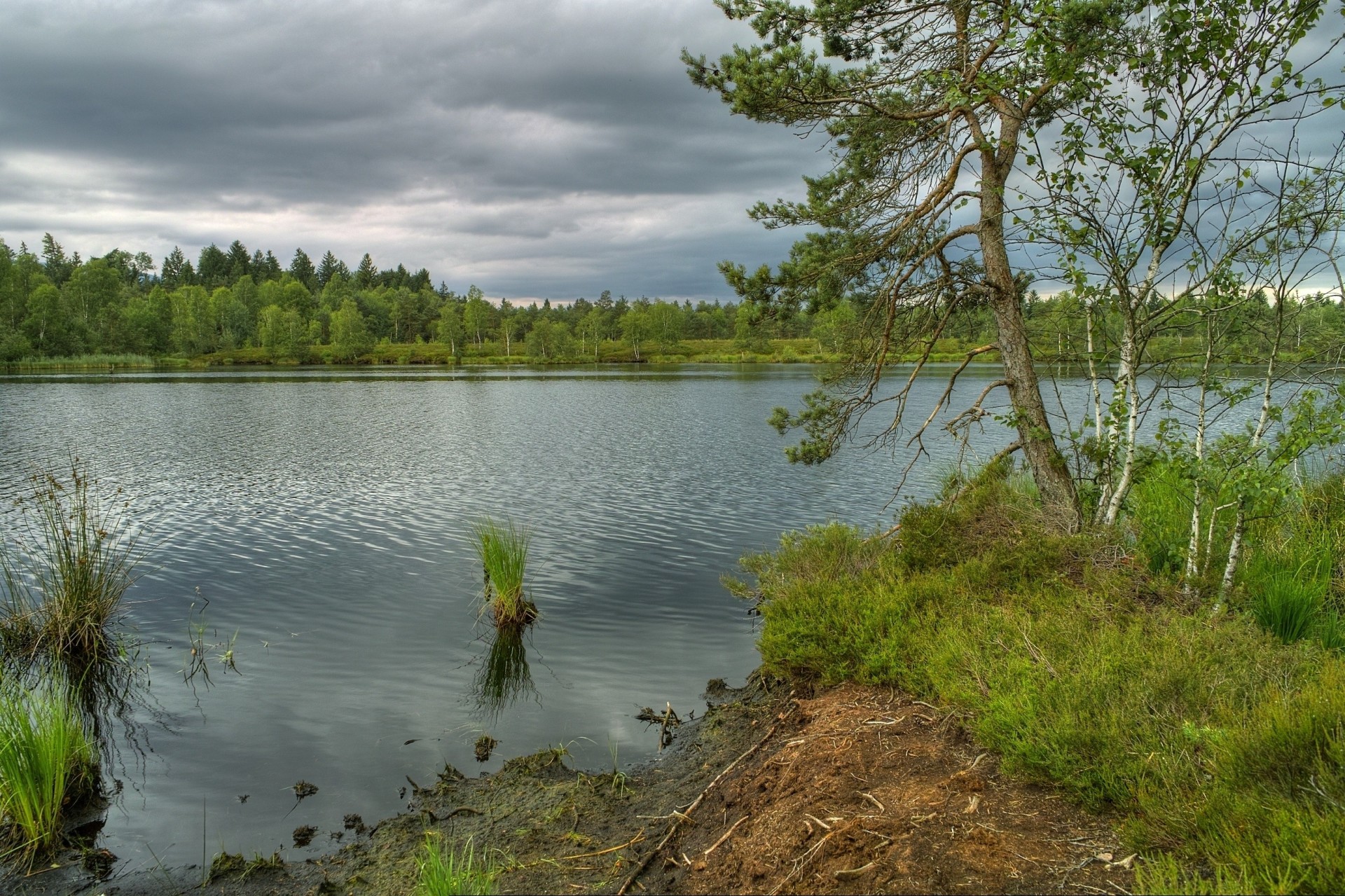 krajobraz rzeka natura drzewa bawaria