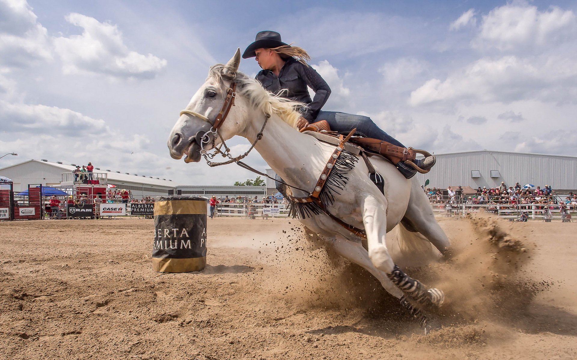 fille cheval sport