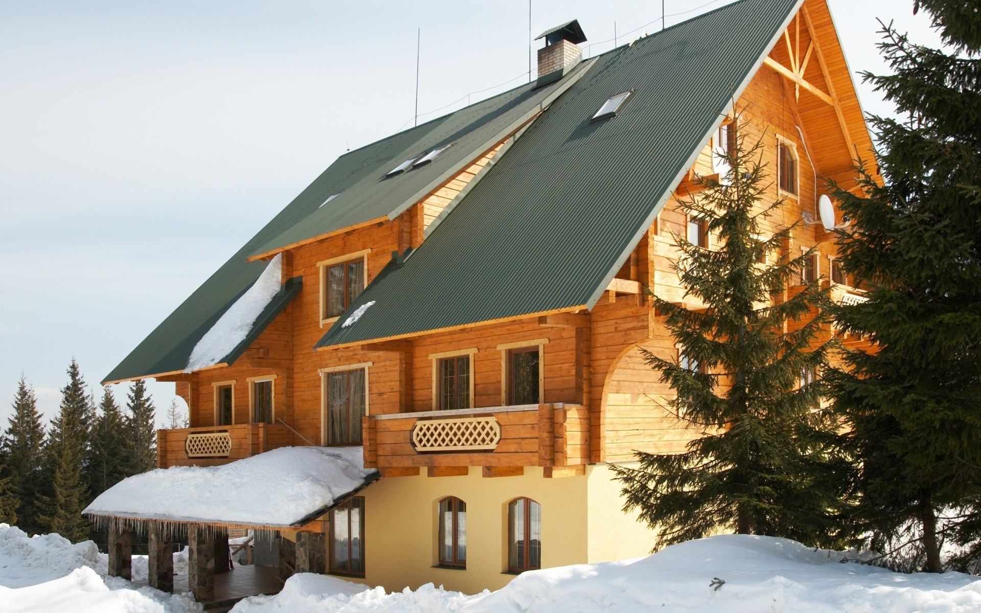 winter palmen haus schnee