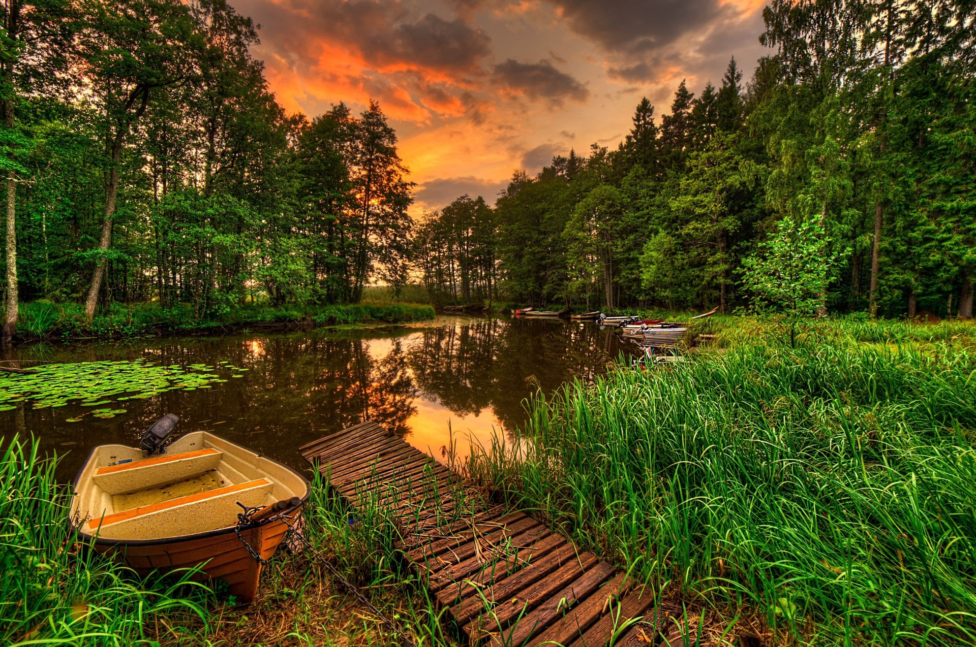 bateaux paysage forêt coucher de soleil rivière