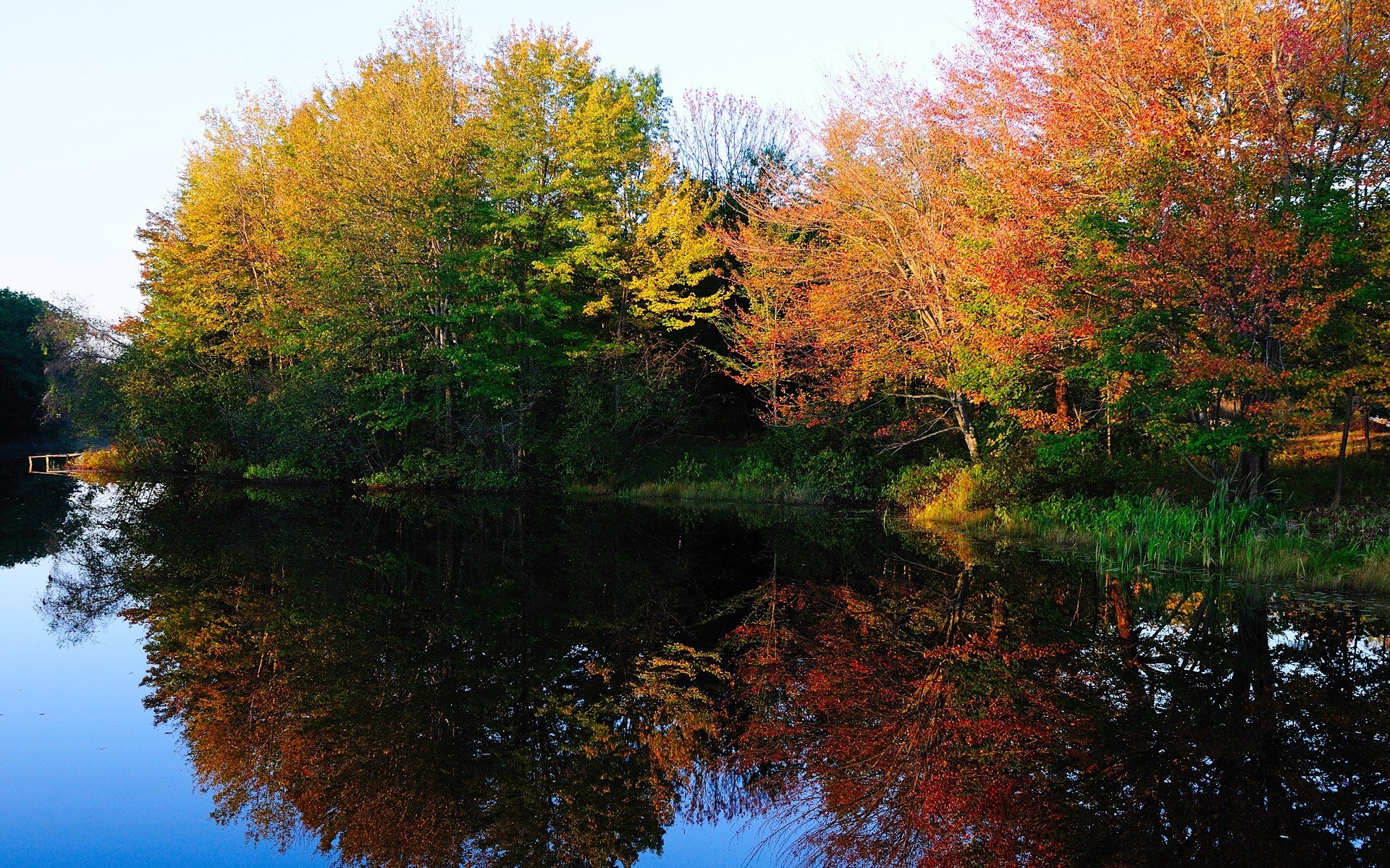 autunno lago alberi natura