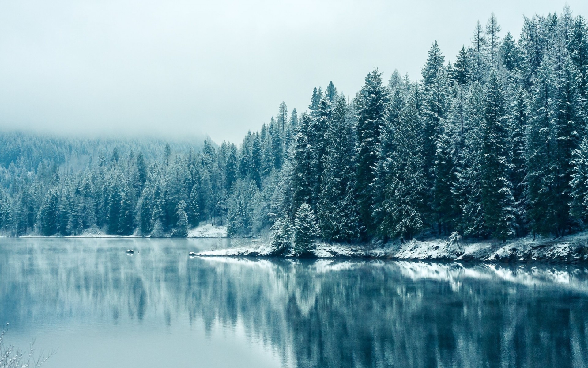 river forest canada snow winter