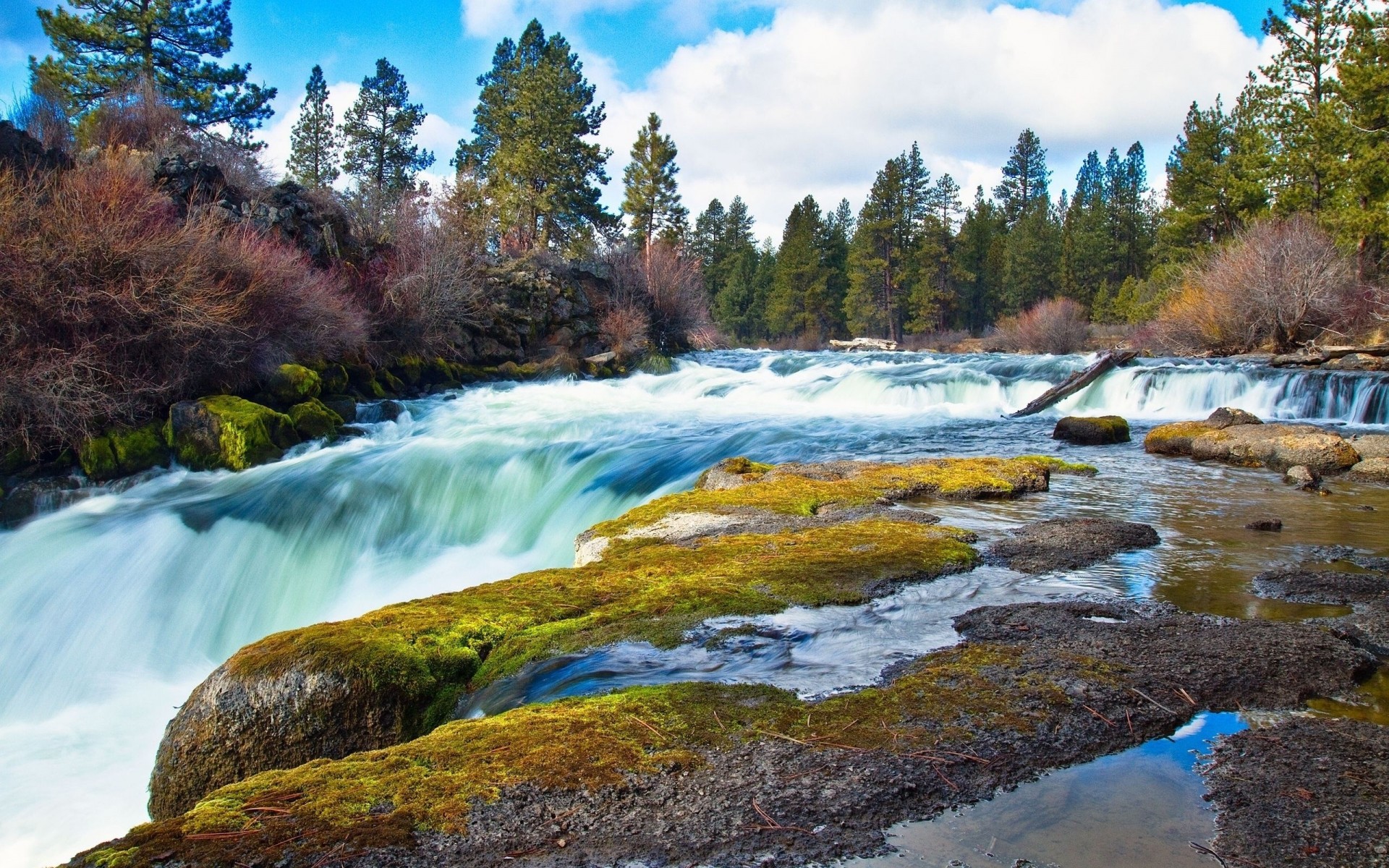 tones moss feed power bush forest water autumn rock waterfall