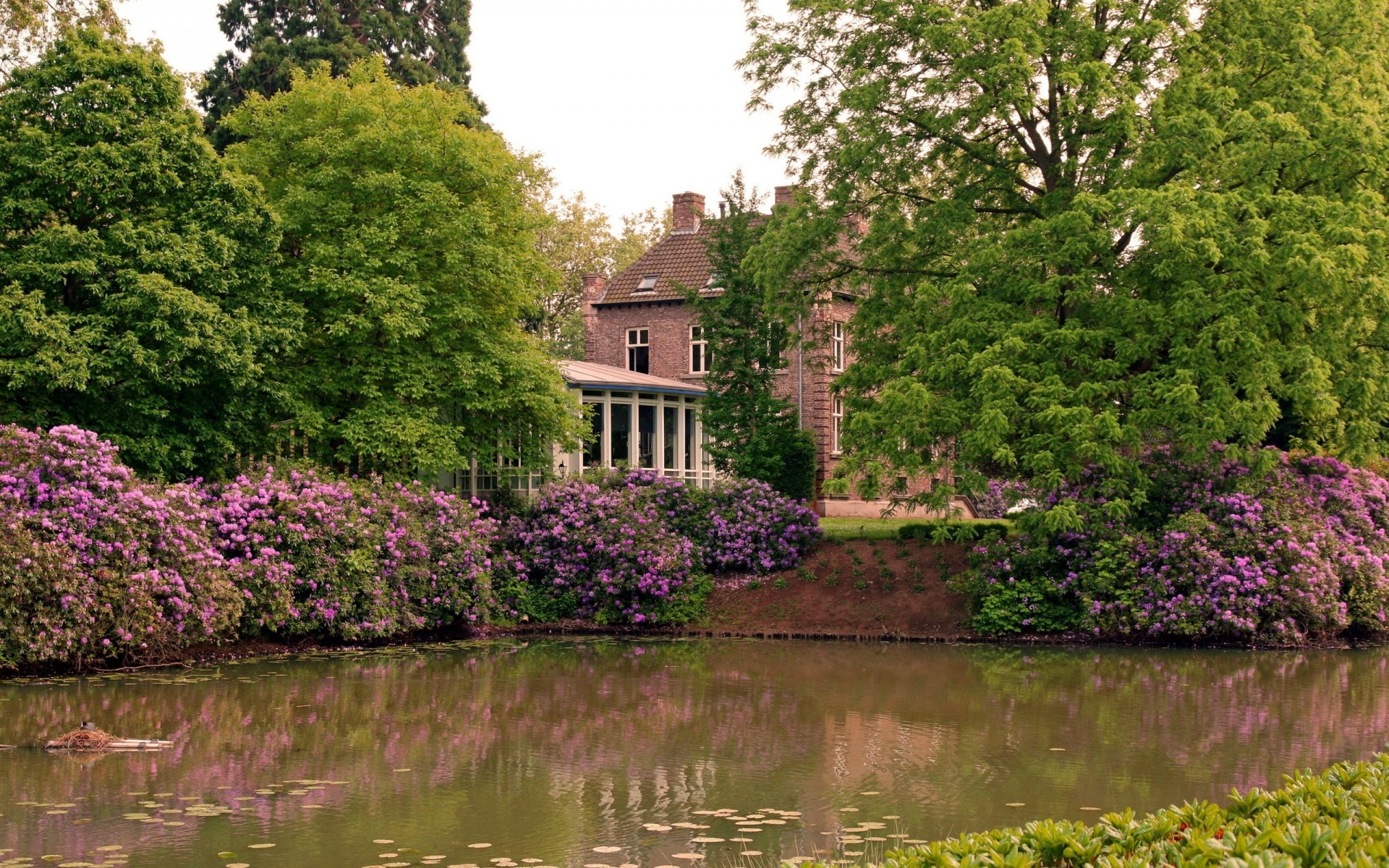 park tree flower pond house