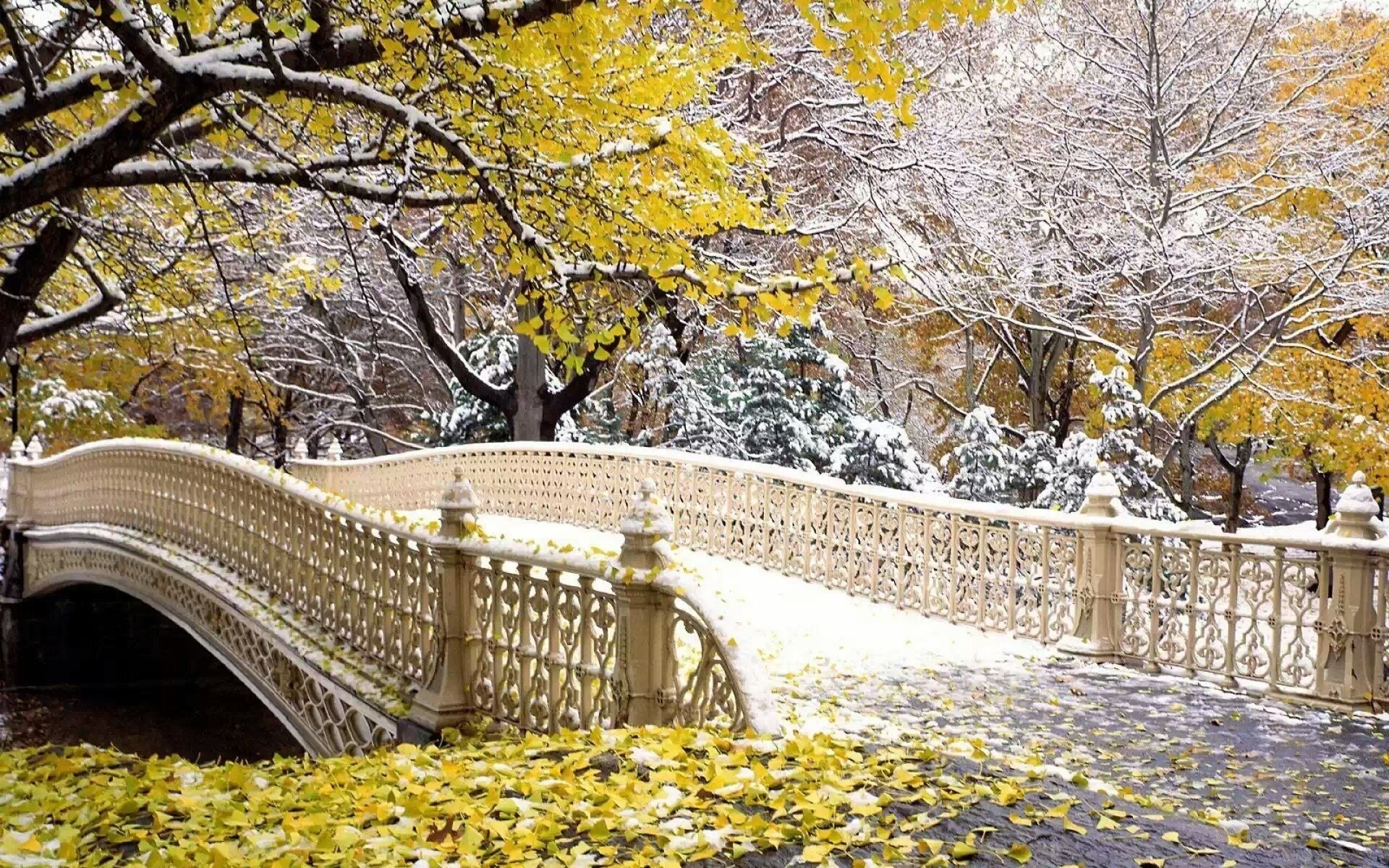 brücke schnee spätherbst