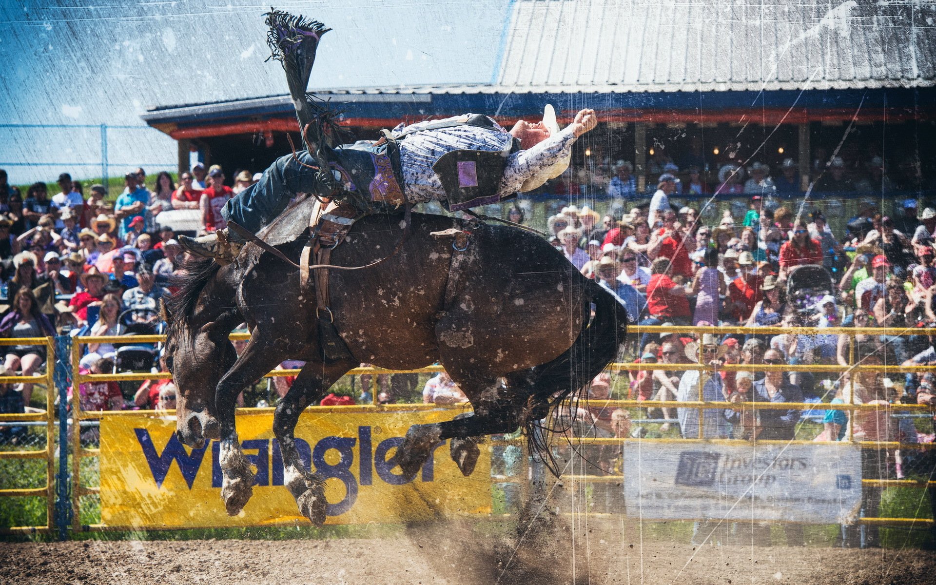 rodeo sports background