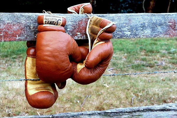 Guantoni da boxe sul recinto di legno