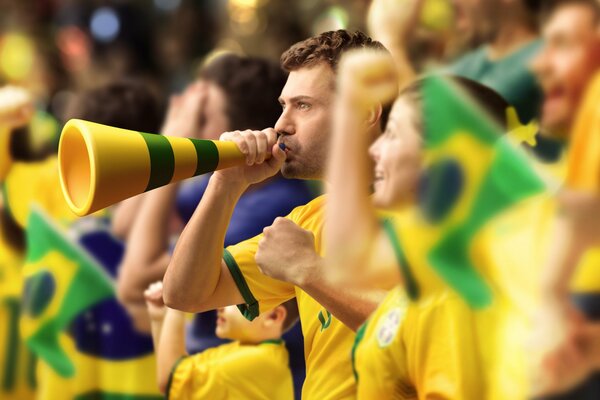 Brazilian fans cheer for their team