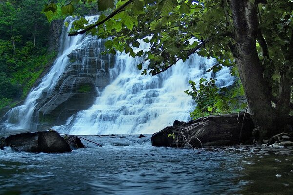 Fuerte cascada. Espuma de la cascada