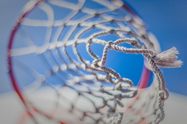 Basketball Ring Sport Macro