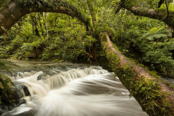 Cascade river in Nuova Zelanda