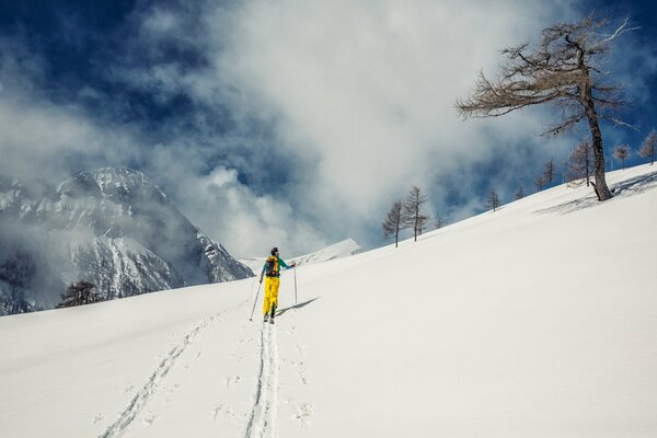 Skier on a mountain peak