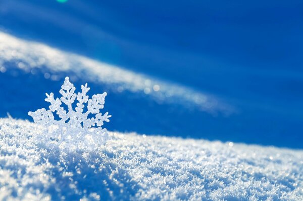 Eine Schneeflocke unter Makroaufnahmen im Winter