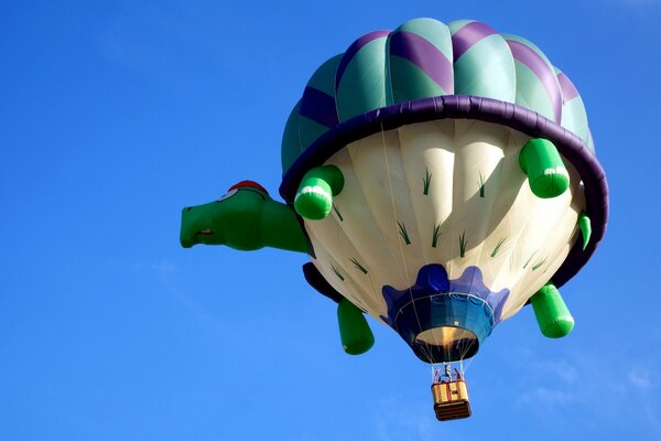 Vol d une tortue aérienne dans un ciel clair