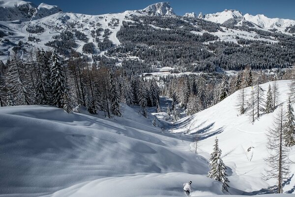 Sunny day in the mountains, sports riding-skiing