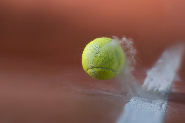 Ball Court Sport Tennis