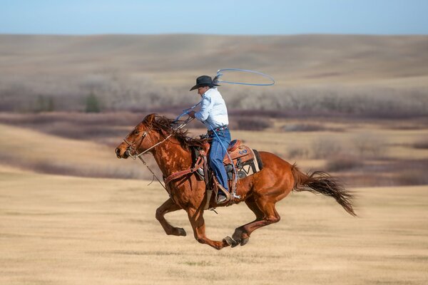 El salvaje oeste y un vaquero con un caballo