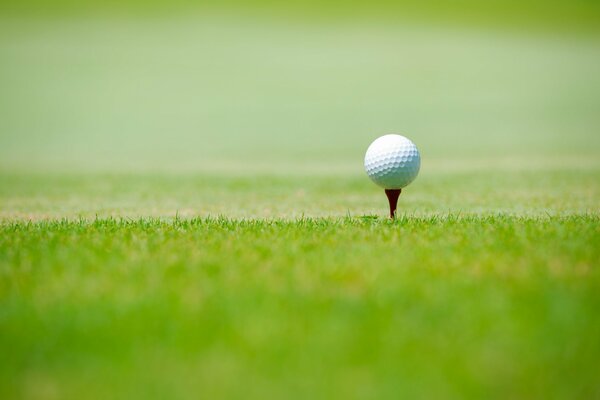 Golfball auf dem grünen Rasen