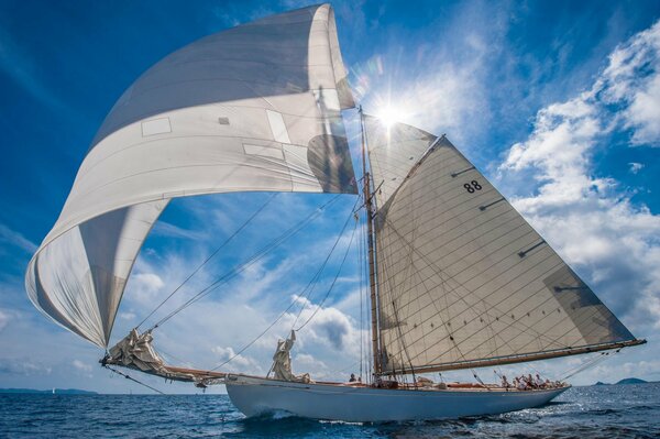 In the big ocean, sails on the landscape