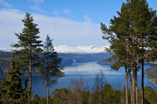 Montagne e fiordi della Norvegia