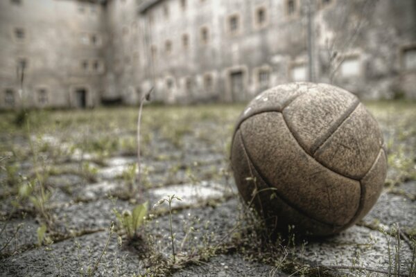 A forgotten ball in an abandoned yard