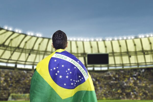 Кубок мира по футболу с изображением флага Бразилии