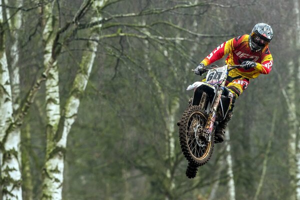 Motorcyclist jumping against the background of birch trees