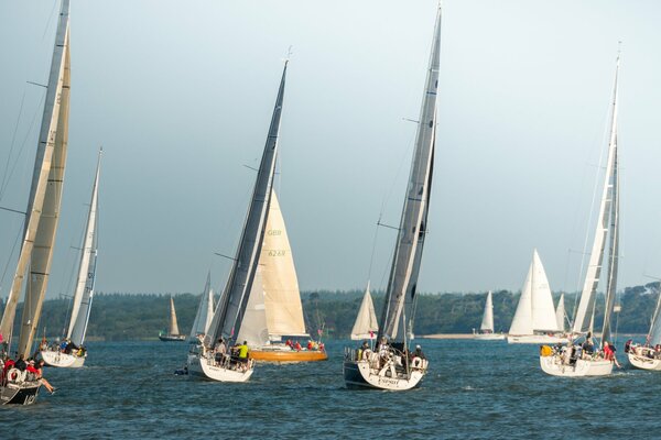 Regata di yacht a vela In mare