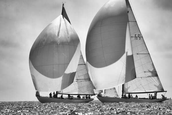 Yachts avec des voiles ouvertes sur la mer