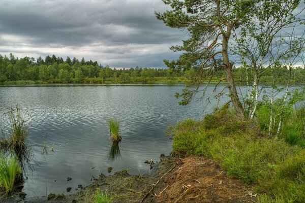 Paisaje con río y árboles