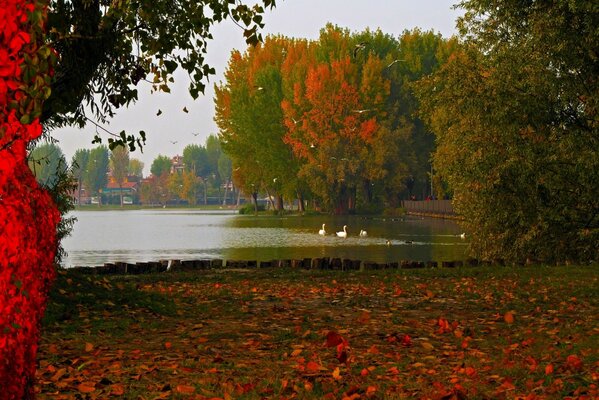 A lake in Italy in autumn silence