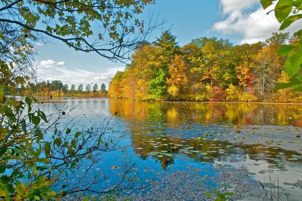 Paisaje de otoño junto al lago, árboles en decoración de otoño