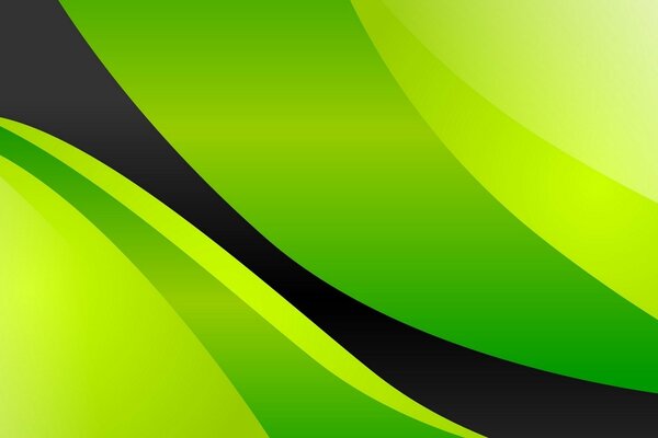 Background with black stripe on light green and green