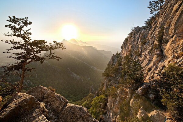 Le soleil se couche derrière les montagnes et illumine les arbres